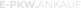 E-PKW.ANKAUF